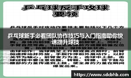 乐鱼体育平台