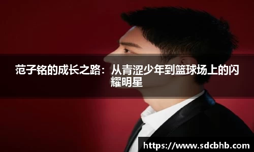 乐鱼体育APP