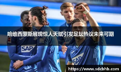 乐鱼体育官网