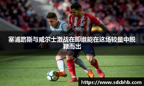 乐鱼体育平台