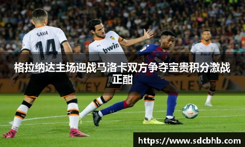 乐鱼体育平台