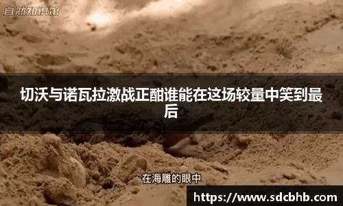 切沃与诺瓦拉激战正酣谁能在这场较量中笑到最后