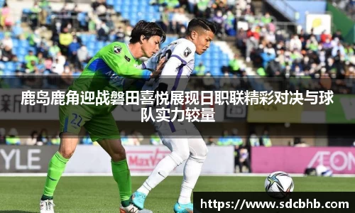 乐鱼体育平台