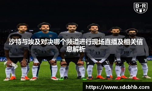 沙特与埃及对决哪个频道进行现场直播及相关信息解析